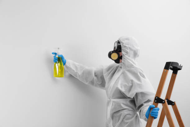 Best Comprehensive Air Testing for Mold Contaminants  in Warrensburg, IL